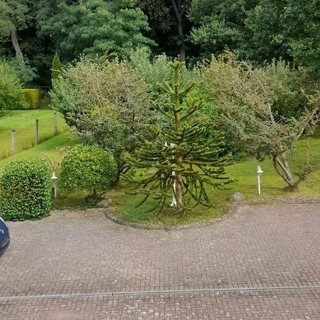 Pension Zum Park Goldberg Zewnętrze zdjęcie