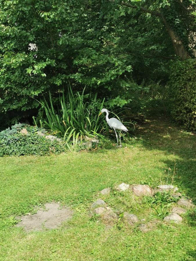 Pension Zum Park Goldberg Zewnętrze zdjęcie