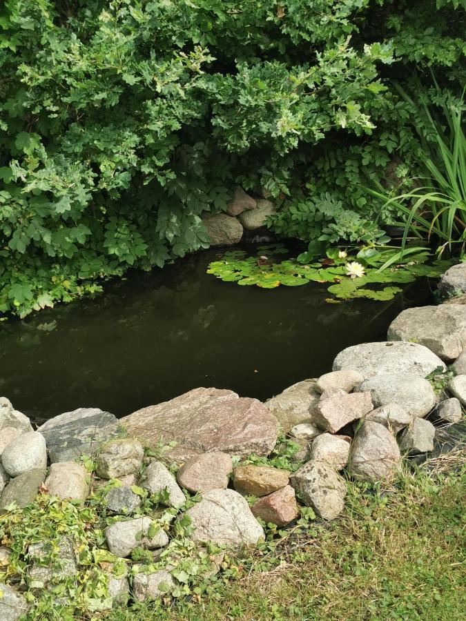 Pension Zum Park Goldberg Zewnętrze zdjęcie