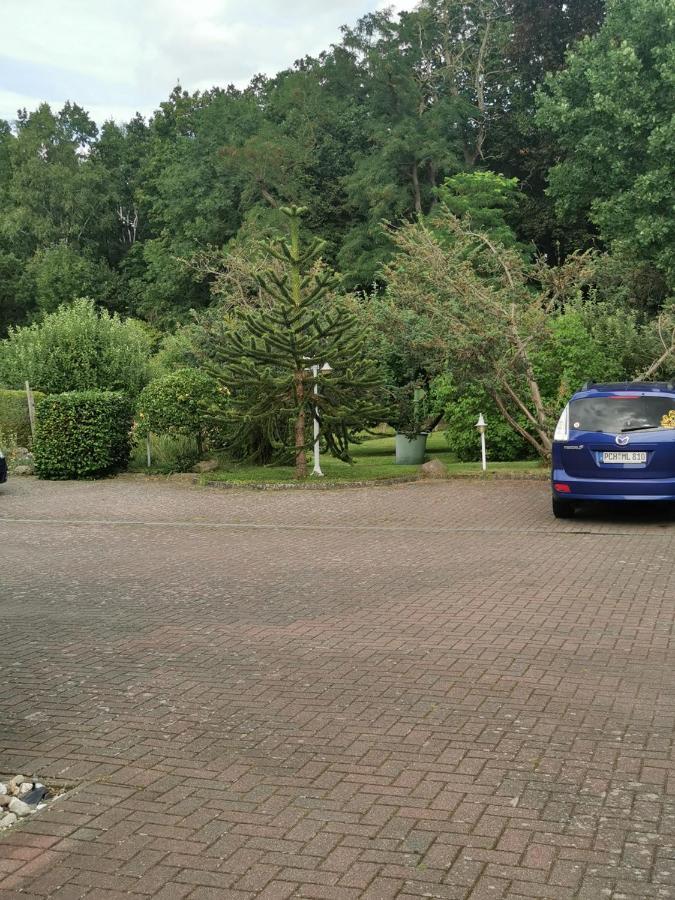 Pension Zum Park Goldberg Zewnętrze zdjęcie
